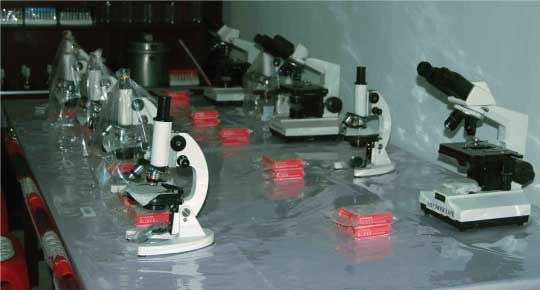 Microbiology Lab